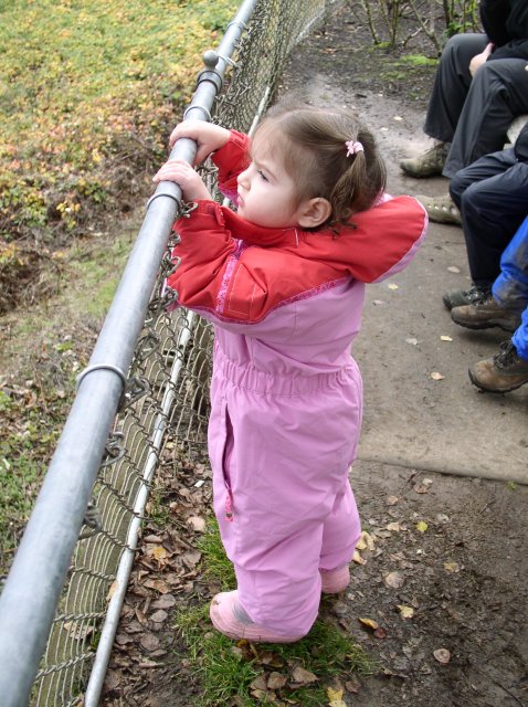 11.13.05 Arboretum-Pittock Mansion-Macleay Park 018 